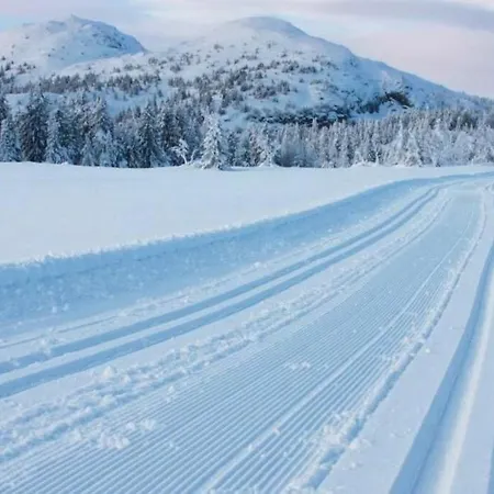 Eventyrlig Tommerhytte Pa Gardstun