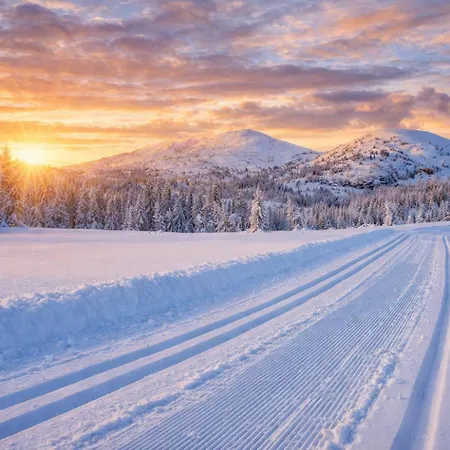 Eventyrlig Tømmerhytte På Gårdstun