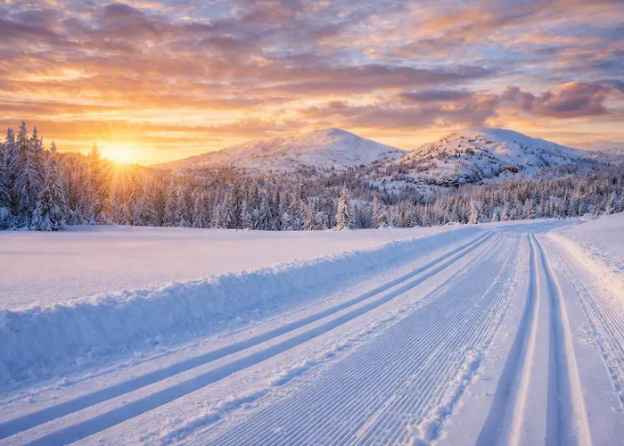 Eventyrlig Tommerhytte Pa Gardstun